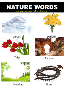 Most Beautiful Nature Vocabulary Words Vocabulary Point