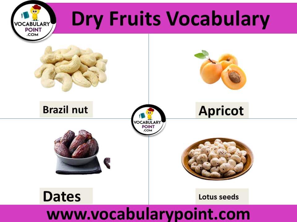 All dry fruits name with picture | Download PDF - Vocabulary Point