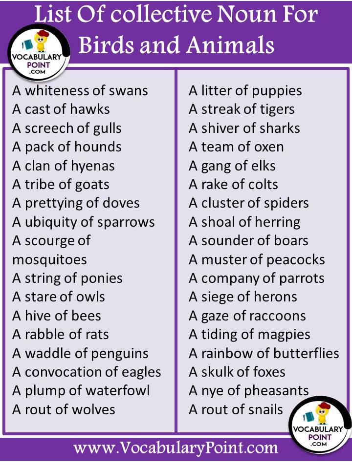 List Of Collective Noun For Animals And Birds Download PDF Vocabulary 