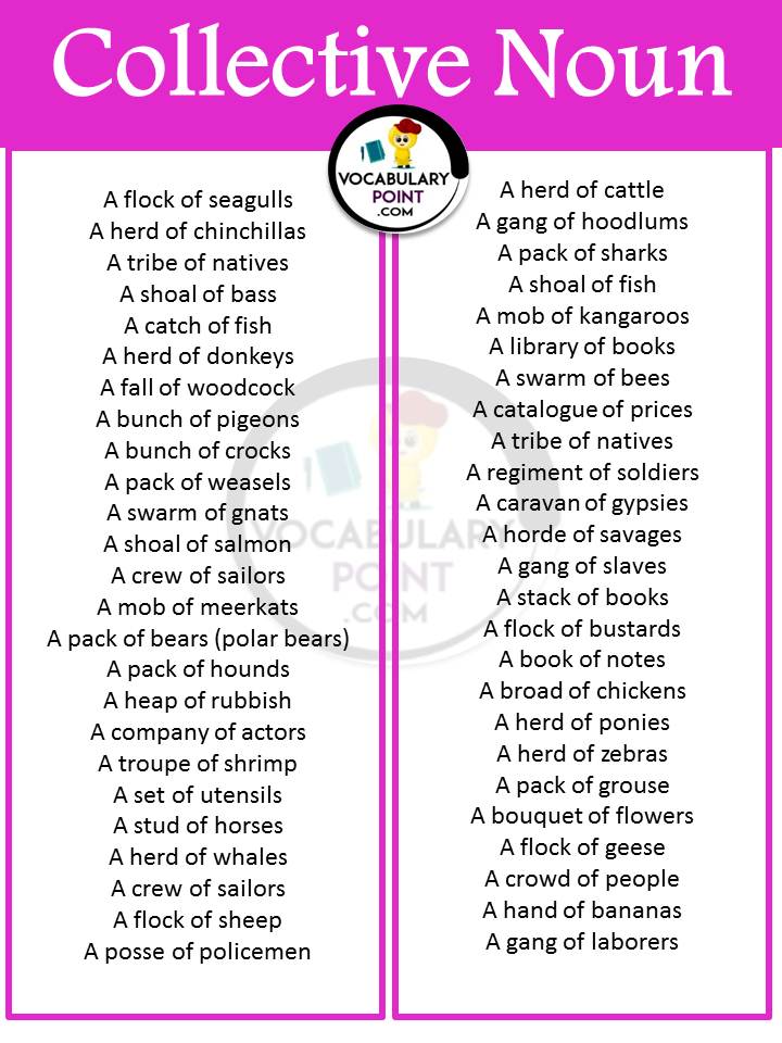 list-of-collective-nouns-in-english-grammar-download-pdf-vocabulary-point