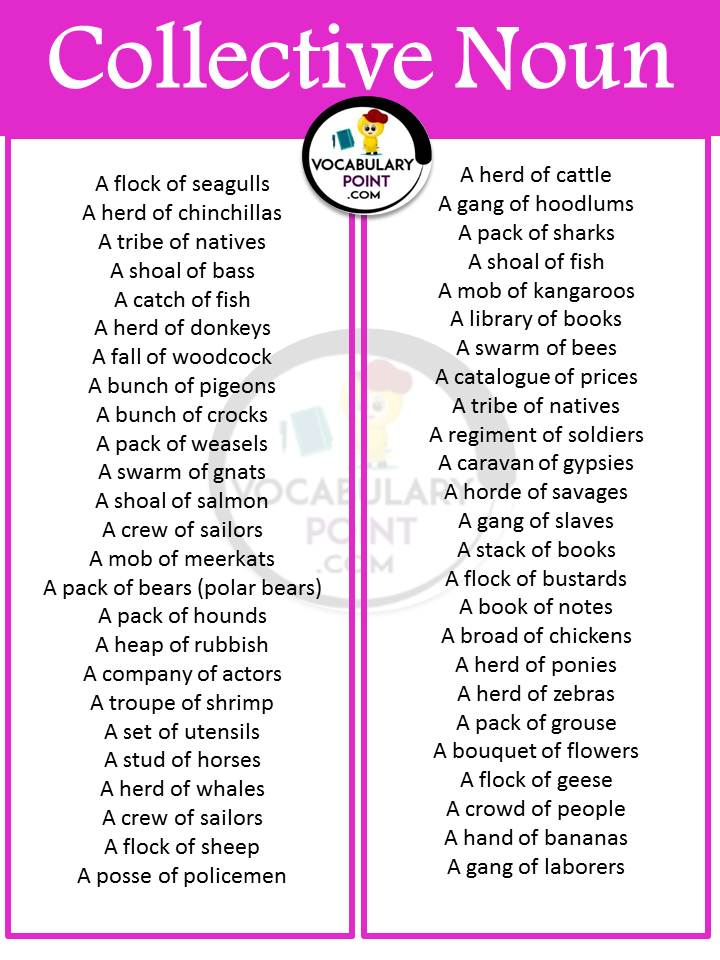 List Of Collective Nouns In English Grammar Download PDF Vocabulary 