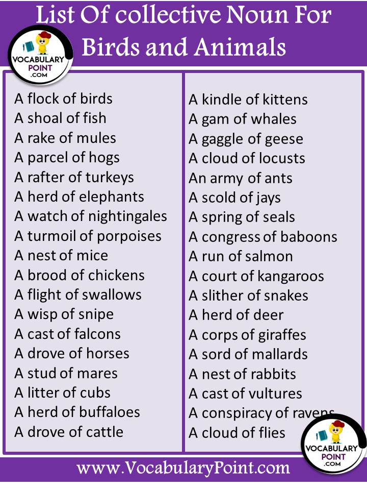 List of collective noun for animals and birds|Download PDF - Vocabulary  Point