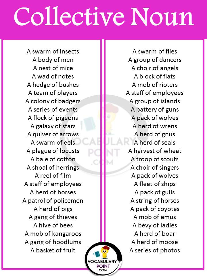 100 Examples of collective Noun