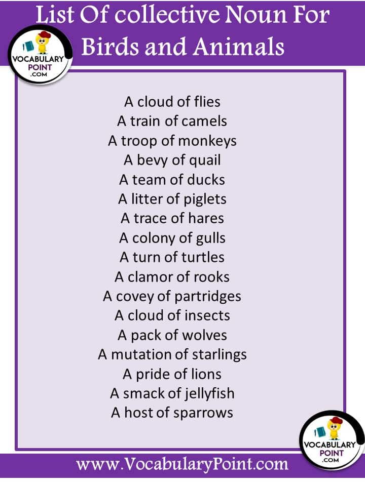 List of collective noun for animals and birds|Download PDF - Vocabulary  Point