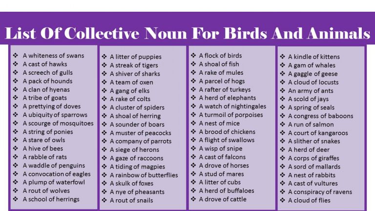 list-of-collective-nouns-for-grade-4-archives-vocabularypoint
