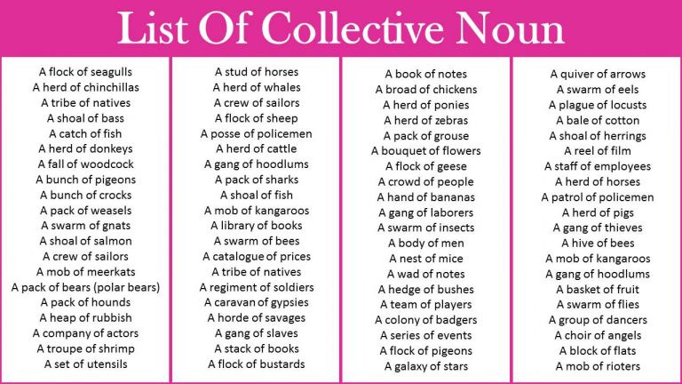 List Of Collective Nouns In English Grammar Download PDF Vocabulary 