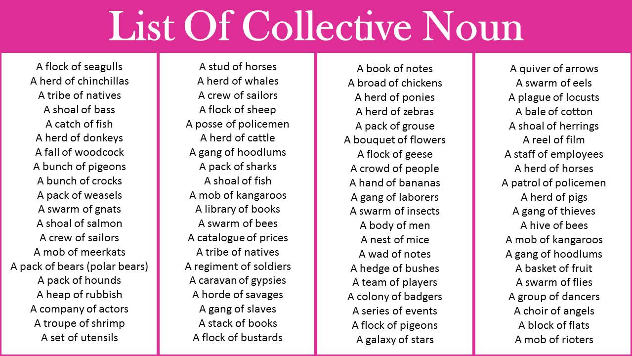 List of collective nouns in English Grammar | Download PDF - Vocabulary  Point