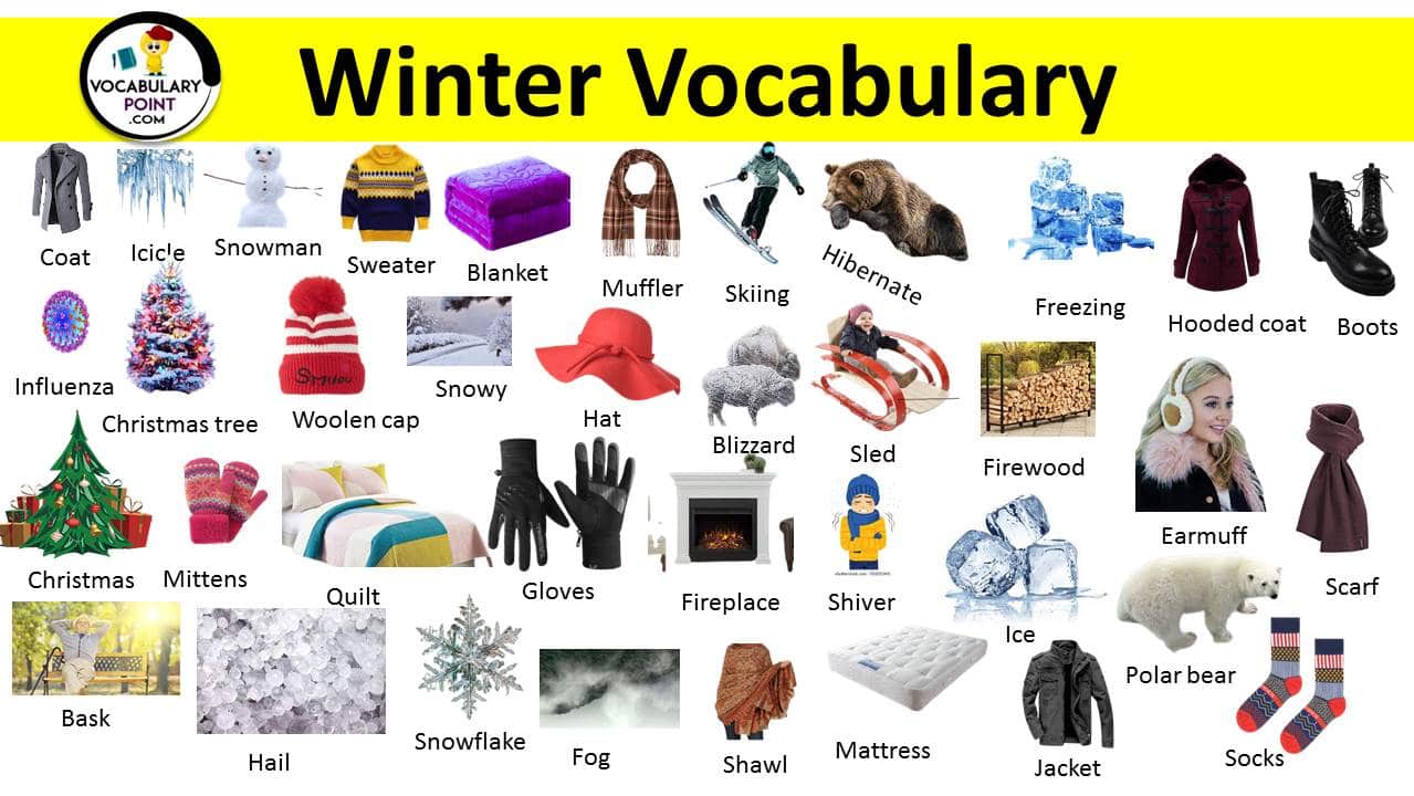 winter vocabulary words pdf with picture in English