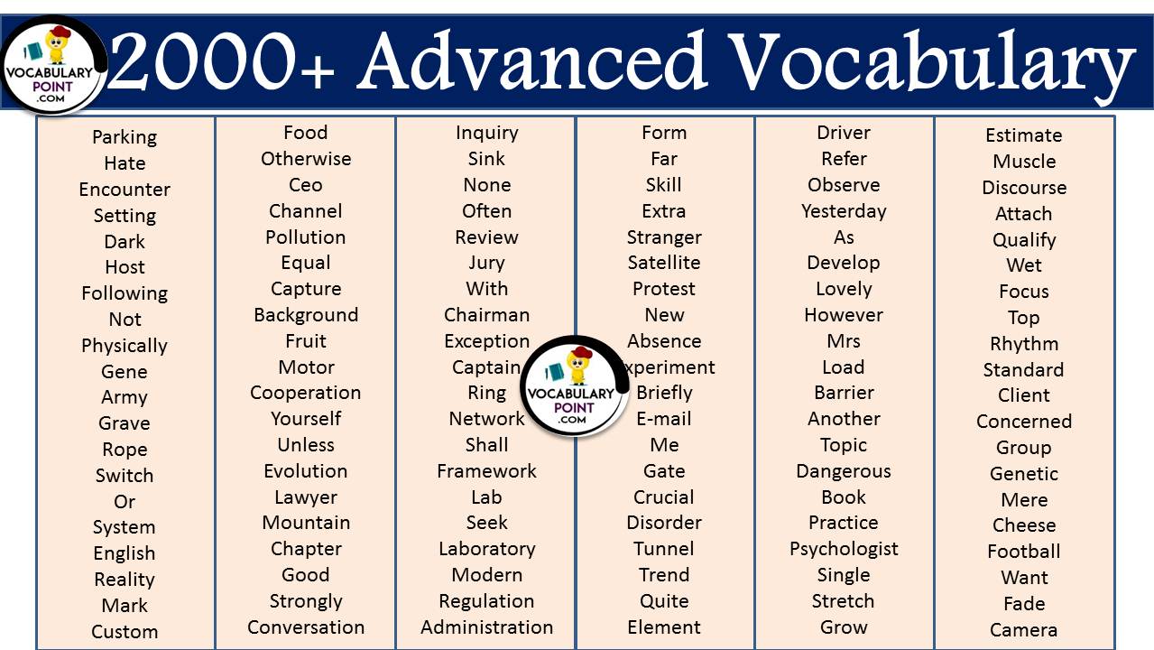 advanced english essay vocabulary