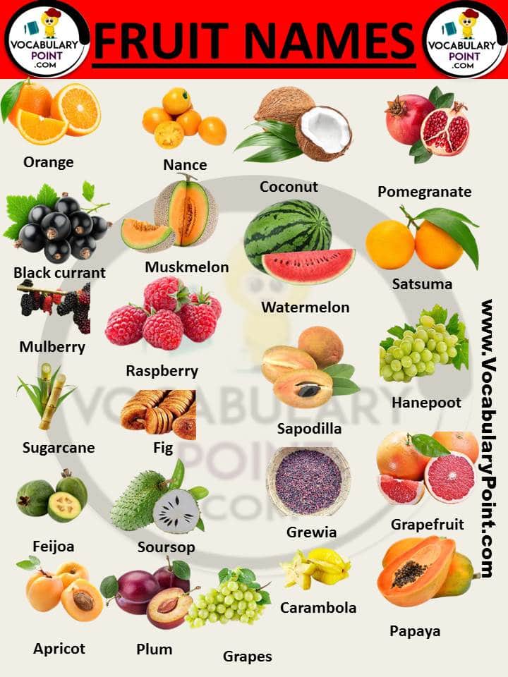 fruits vocabulary list