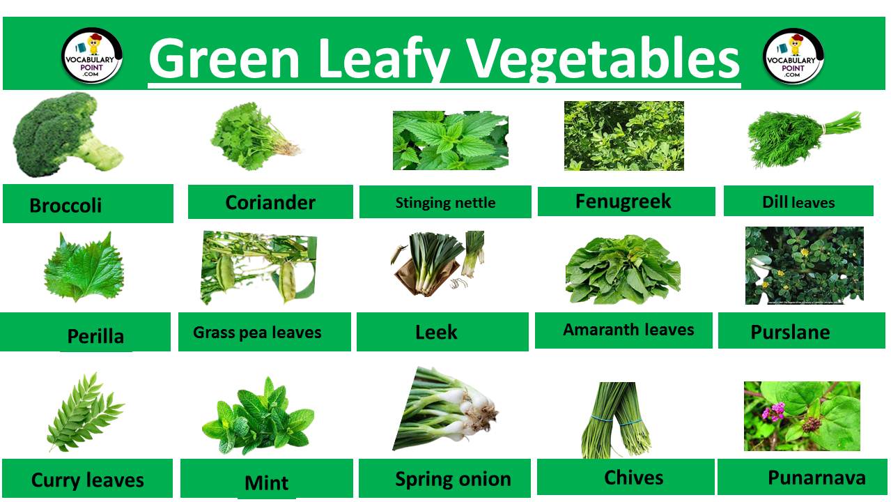 list green leafy vegetables
