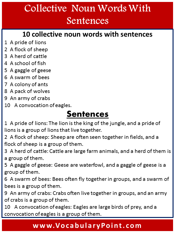 10 collective noun words with sentences