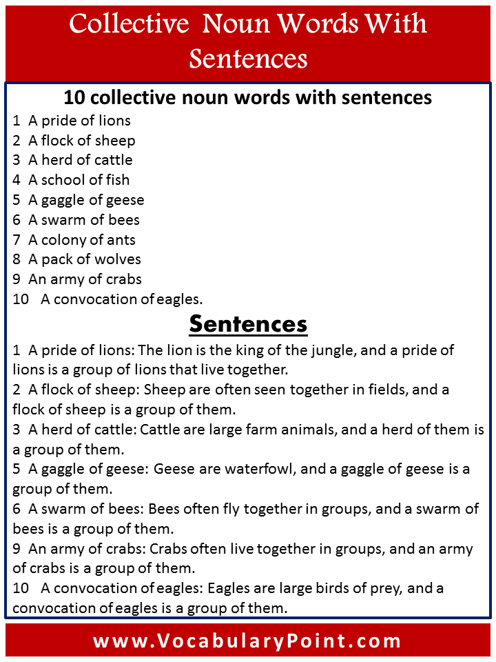 List Of Collective Noun Words Collective Noun Example Sentences 