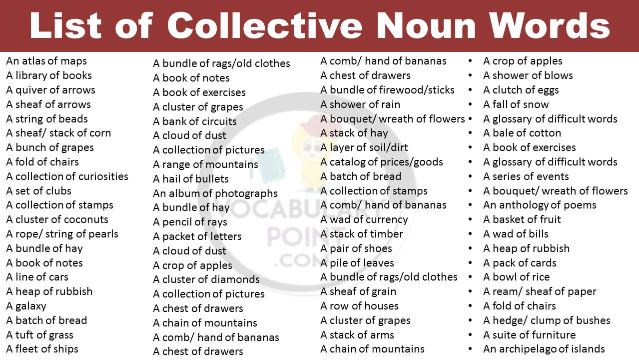 List of Collective Noun Words | Collective Noun Example Sentences -  Vocabulary Point
