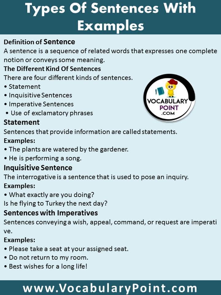  Different Kinds Of Sentences Sentence Types 2022 11 11