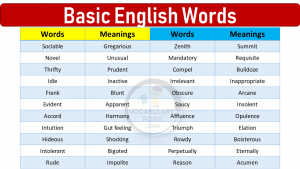 20 Basic English words - Vocabulary Point