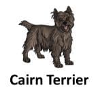 Carin Terrior animal names with pictures