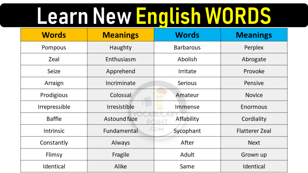 new english vocabulary words