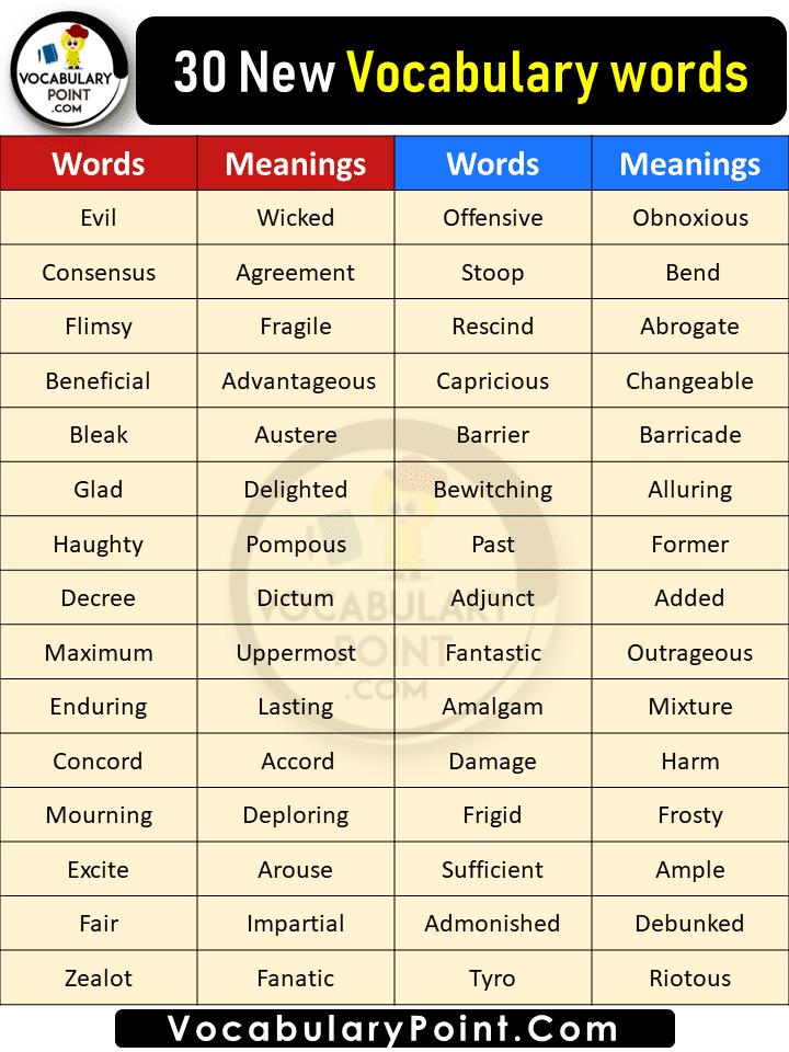 New vocabulary words