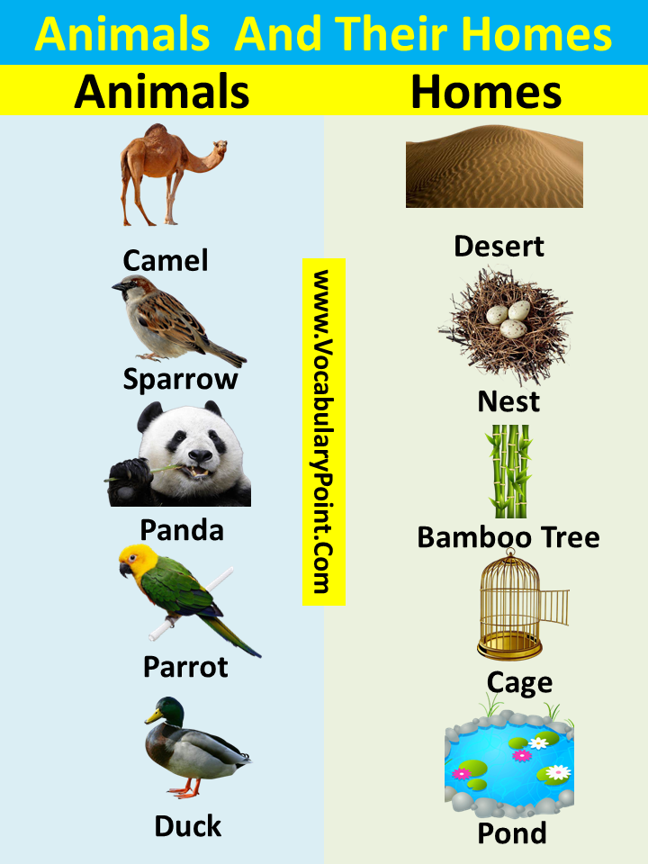 list of animals and their homes pdf