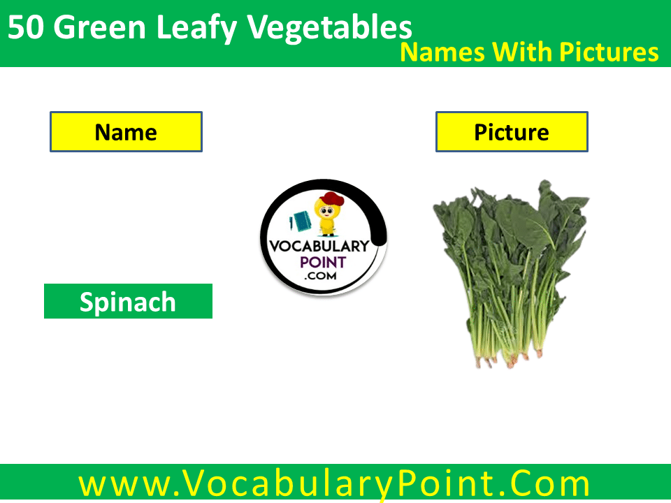 what are the green leafy vegetables