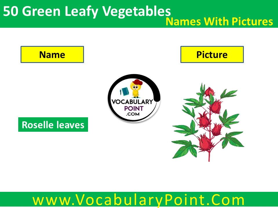 what is green leafy vegetables