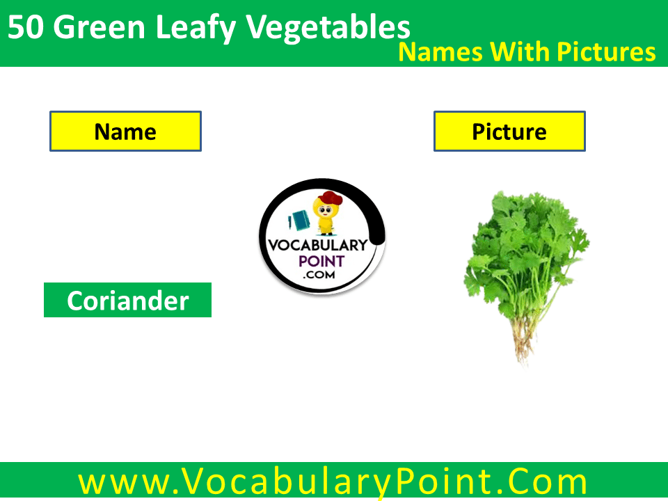 green leafy vegetables names in english with pictures