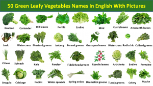 list green leafy vegetables Archives - Vocabulary Point