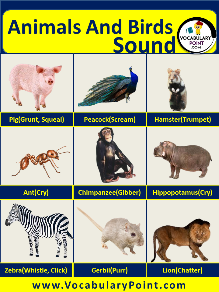Animals And Birds Sound List - Vocabulary Point