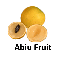 Abiu Fruit