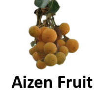 Aizen Fruit