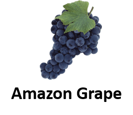 Amazon Grape