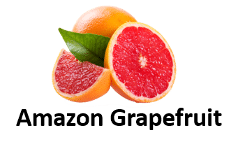 Amazon Grapefruit