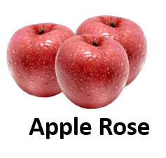 Apple Rose