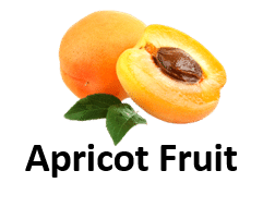 Apricot Fruit