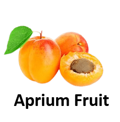 Aprium Fruit