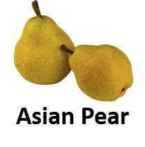 Asian Pear