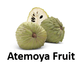Atemoya Fruit