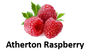 Atherton Raspberry