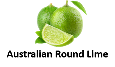 Australian Round Lime