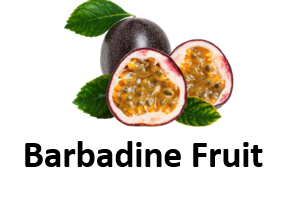 Barbadine Fruit