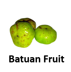 Batuan Fruit