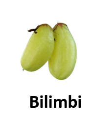 Bilimbi