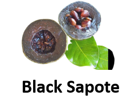 Black Sapote