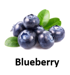 Blueberry