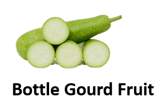 Bottle Gourd Fruit