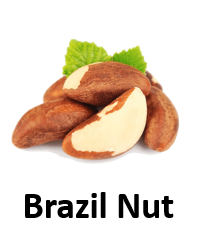 Brazil Nut