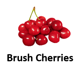 Brush Cherries