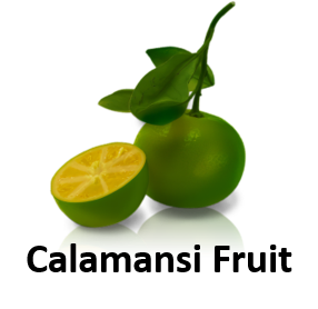 Calamansi Fruit