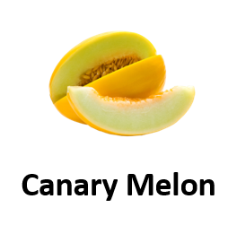 Canary Melon